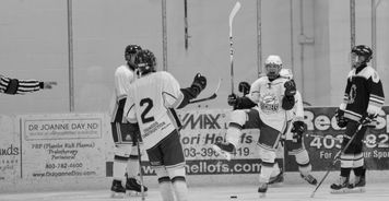 MILAN SPORTS-世界冰球：加拿大队霸气夺冠，金牌大满贯！，冰球加拿大人队